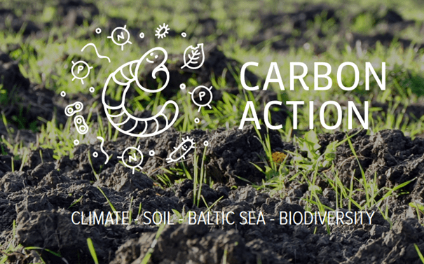 Carbon action