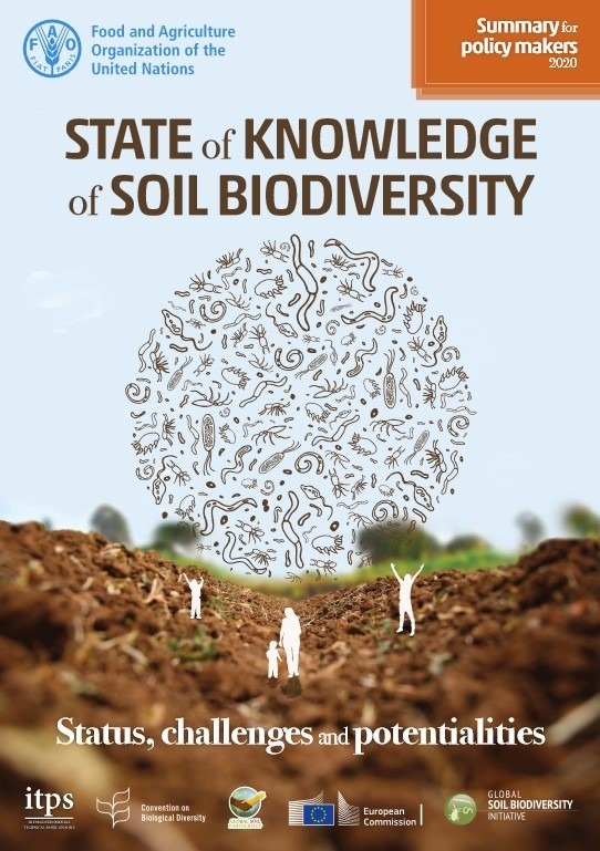 FAO Soil biodiversity