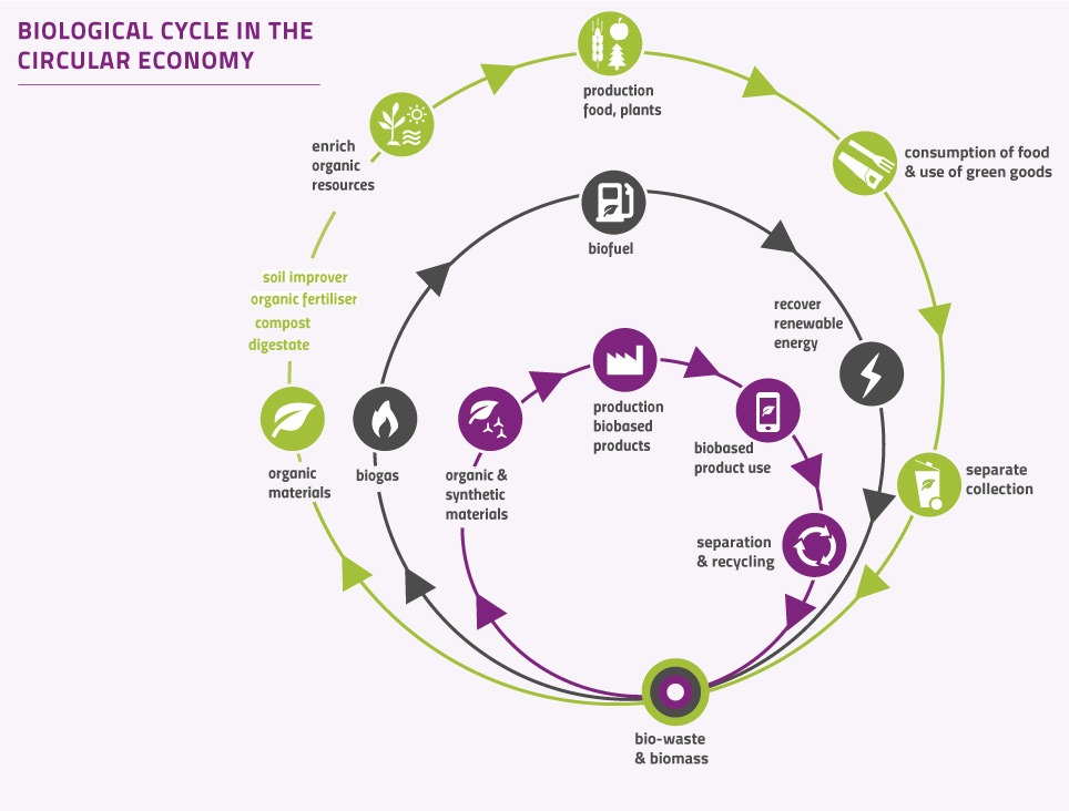About Ecn European Compost Network