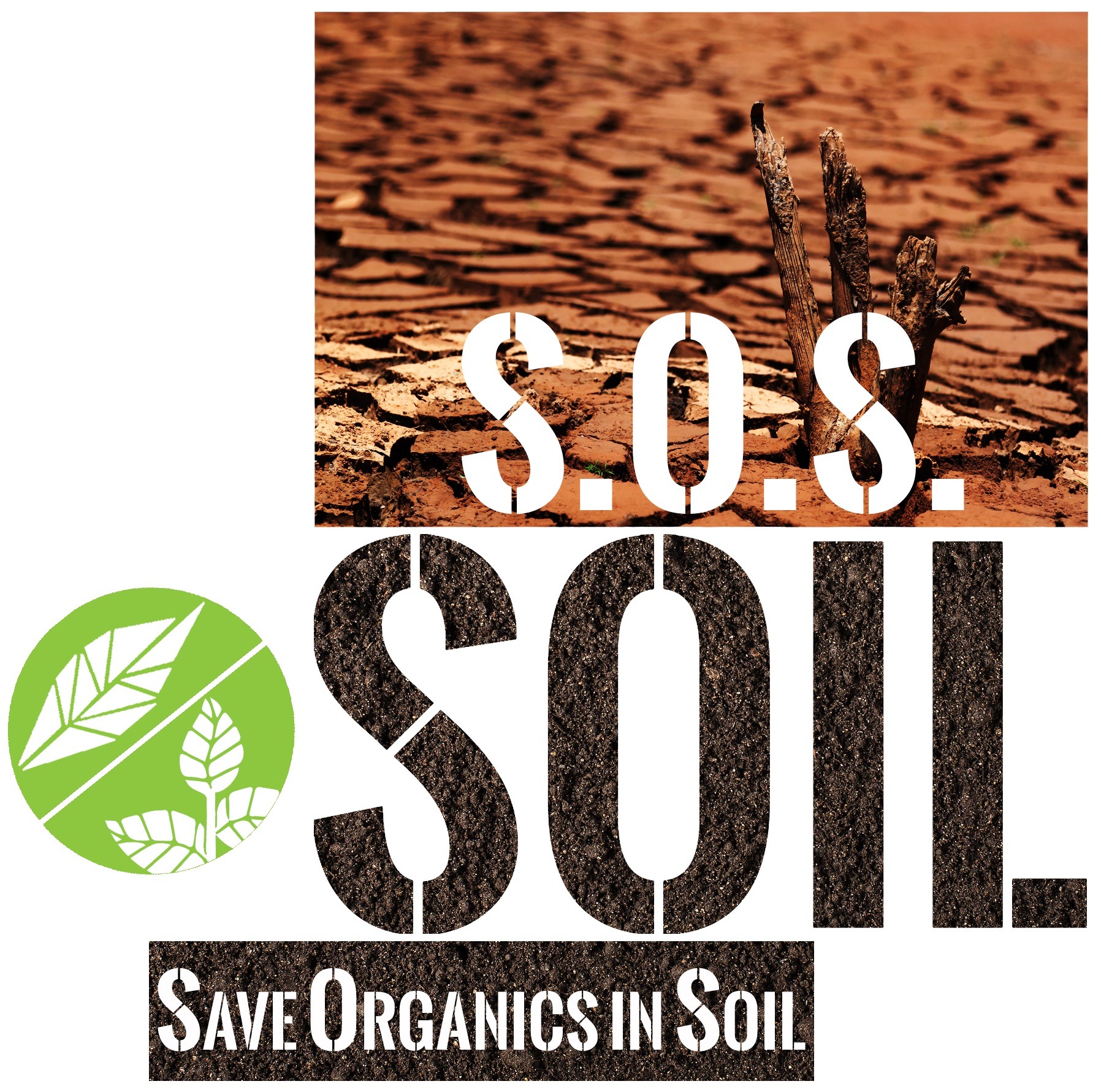 Global Symposium on Soils for Nutrition (GSOIL4N) - Soils, where